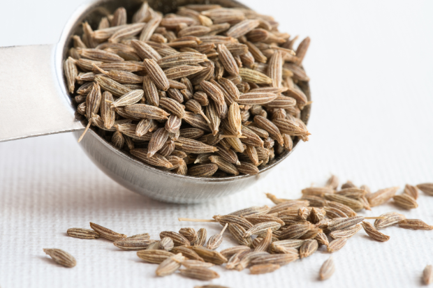 Leading Exporter & Supplier of Cumin Seeds (Jeera) in India | Om International