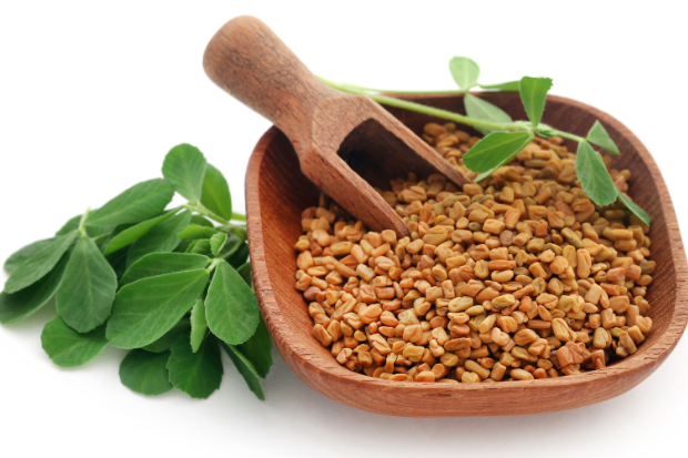 Leading Exporter & Supplier of Fenugreek Seeds (Methi ke Beej) in India | Om International