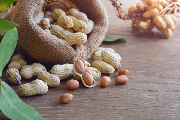 Leading Exporter & Supplier of Peanut in Shell (Moongphali) in India | Om International