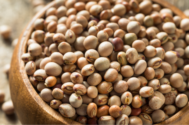 Leading Exporter & Supplier of Pigeon peas (Arhar Dal) in India - Om International