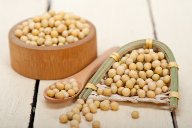 Leading Exporter & Supplier of Soybean Seeds in India | Om International