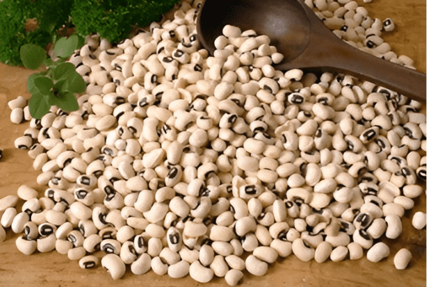 Leading Exporter & Supplier of Black Eye Beans (Chawli) in India - Om International