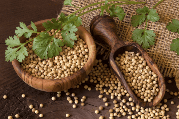 Leading Exporter & Supplier of Coriander Seeds (Dhaniya) in India | Om International