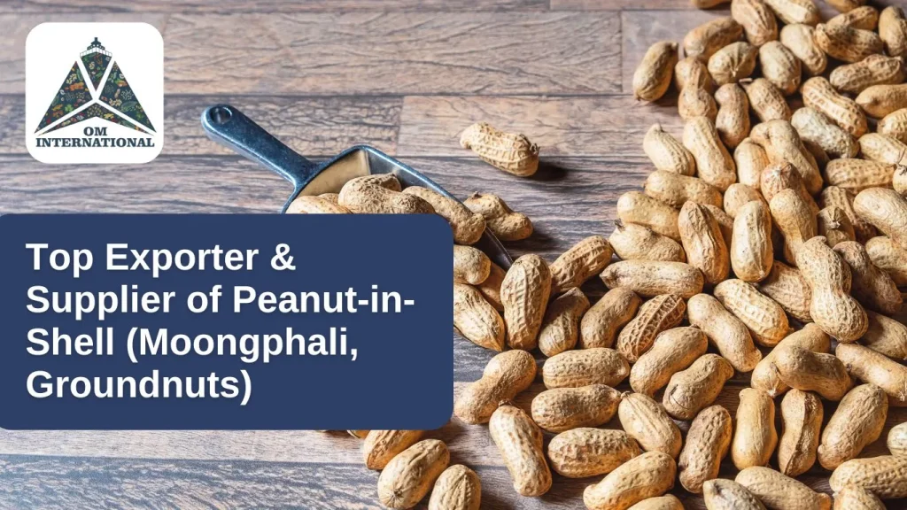 Top Exporter & Supplier of Peanut-in-Shell (Moongphali, Groundnuts)