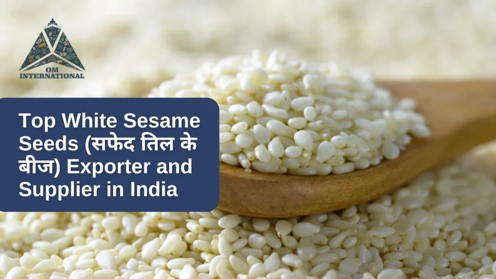 Top White Sesame Seeds (सफेद तिल के बीज) Exporter and Supplier in India Om International